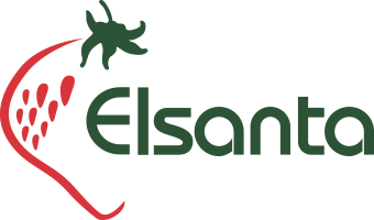 Elsanta - Logotype